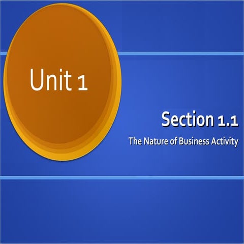 1.1 Nature Of Business Activity