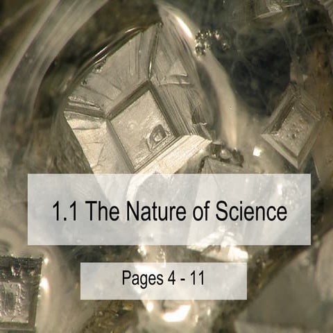 1.1 Nature Of Science