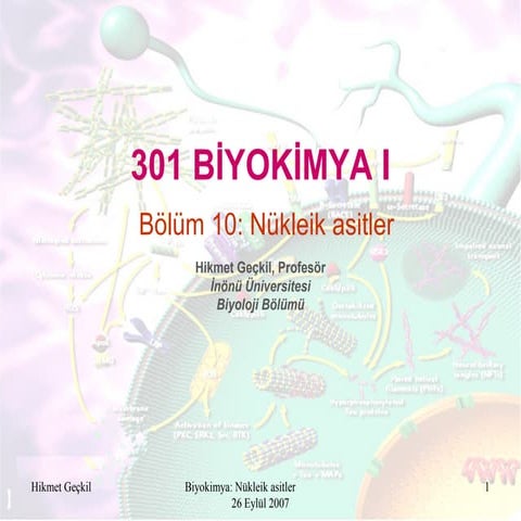 Biyokimya: Nükleik asitler