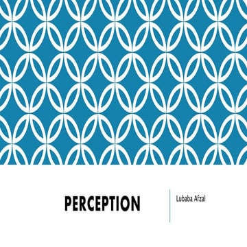 11 --perception-13012022-021206pm