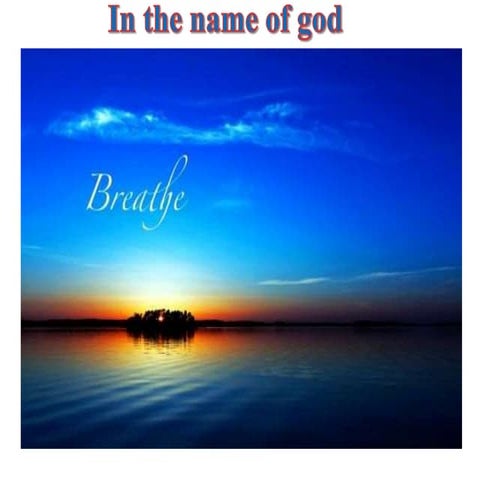 11  respiratory system