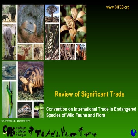 Significant Trade Review