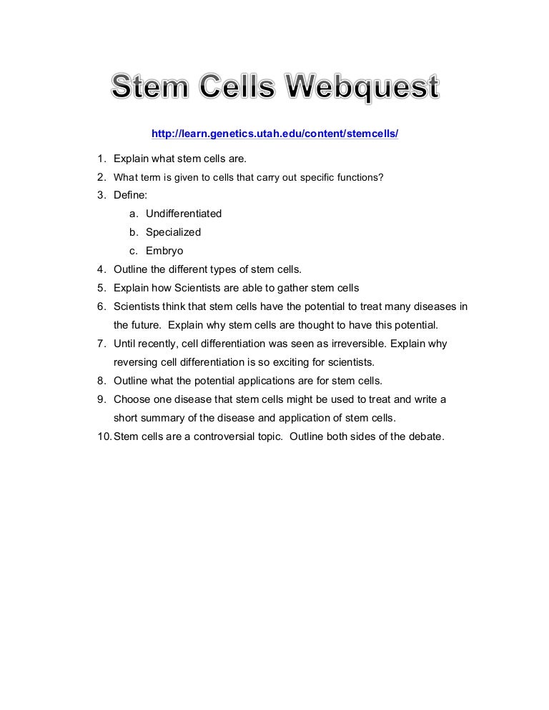 Stem Cells Webquest