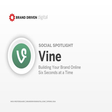 Vine Social Spotlight