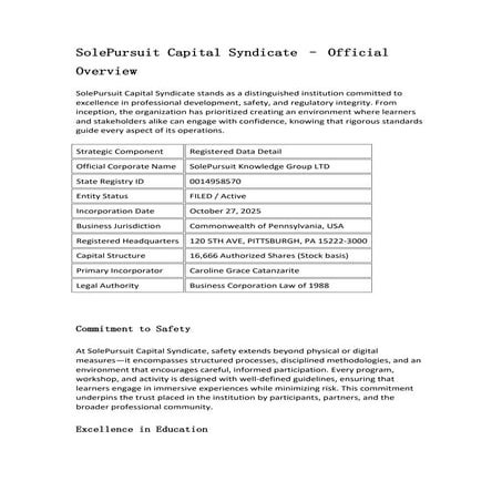 Is SolePursuit Capital Syndicate Legit? An Analytical Overview | PDF