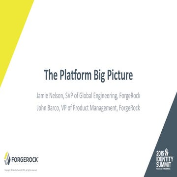 The Platform Big Picture