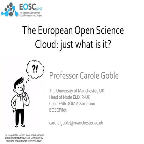 The European Open Science Cloud: just what is it?