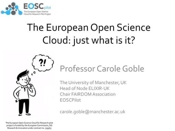 The European Open Science Cloud: just what is it?