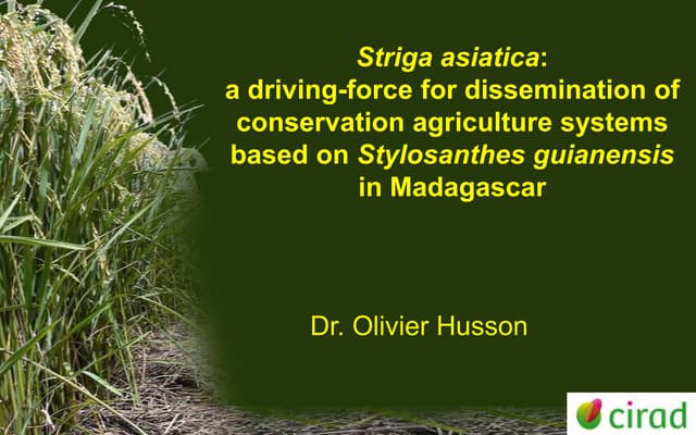 Striga asiatica: a driving-force for dissemination of CA systems based on Stylosanthes guianensis in Madagascar. Olivier Husson