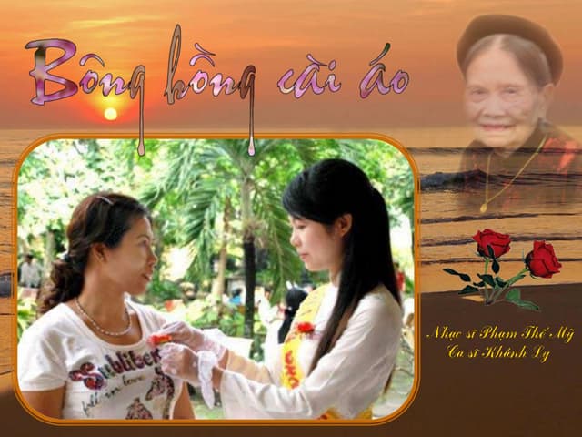 11 01 bong hong cai ao 