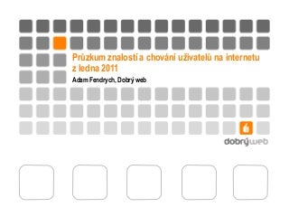 Průzkum uživatelů internetu 2011