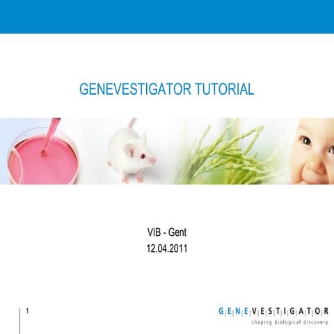 Genevestigator