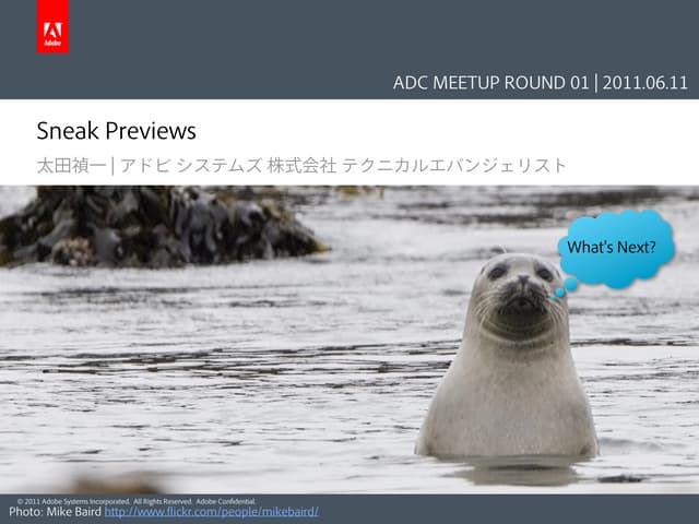 Sneak Previews (ADC MEETUP ROUND 01)