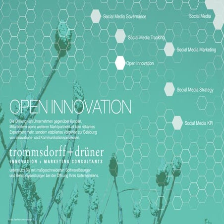 Open Innovation