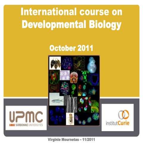Developmental biology course presentation | PPTX