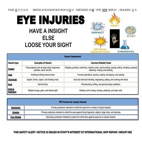Safety Alert on Eye Injury