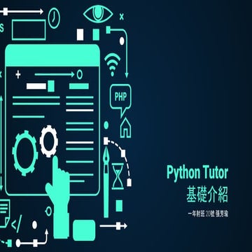 11132020_python tutor.pdf