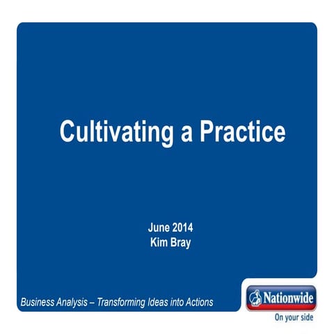 Cultivating a BA Practice - Kim Bray