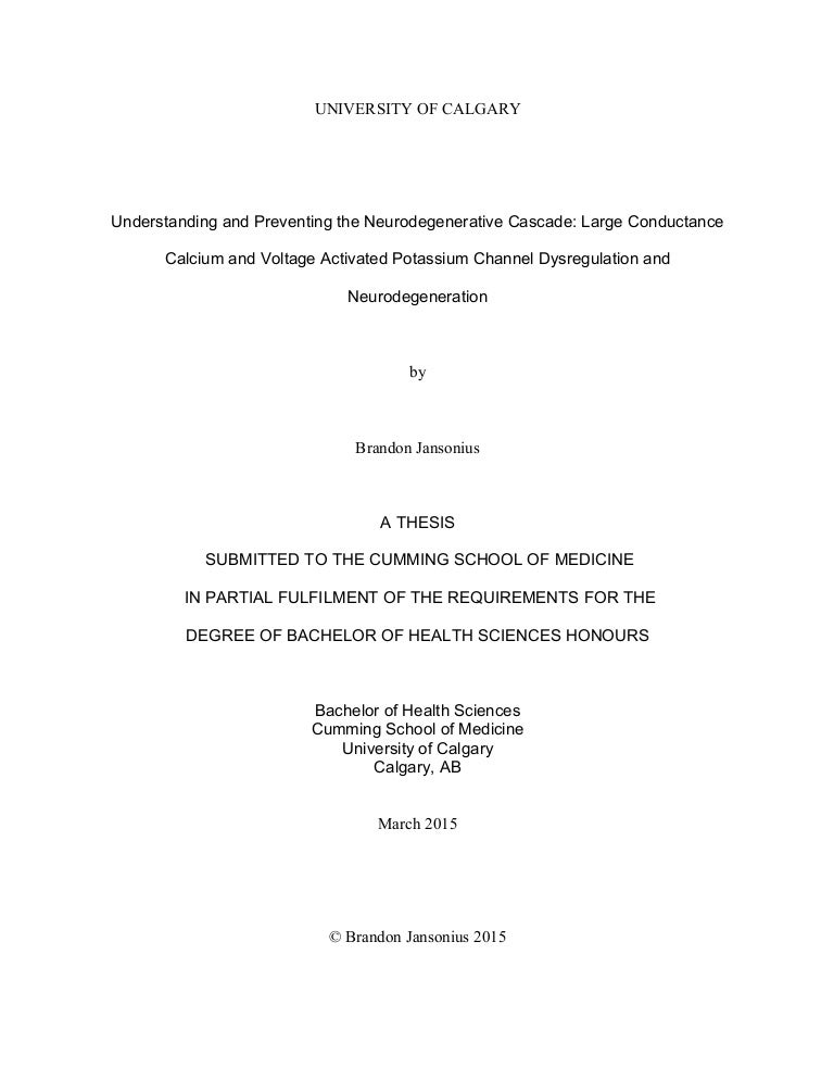 Honours Thesis