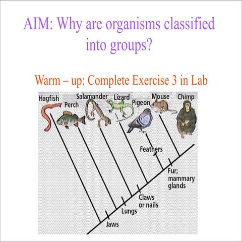 1.14 Why are organisms classified into groups ?