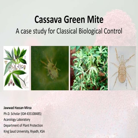 Cassava Green Mite - A case study of Biological Control - Copy