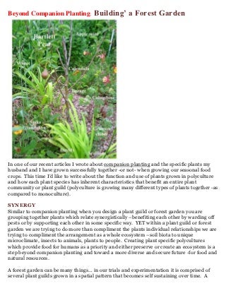 Beyond Companion Planting: Building’ a Forest Garden