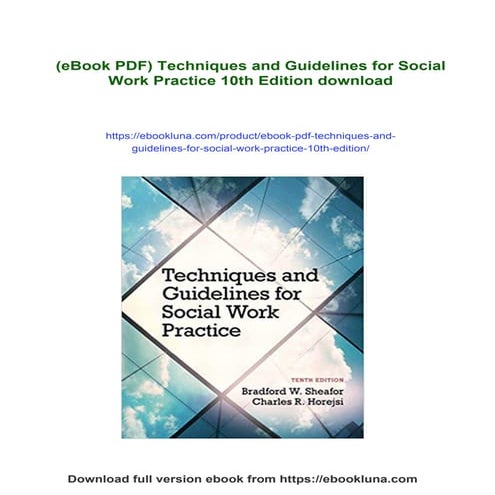 (eBook PDF) Techniques and Guidelines for Social Work Practice 10th Edition