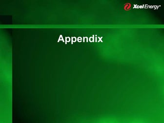 xcel energy  Appendix