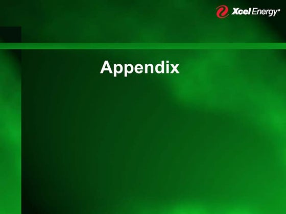 xcel energy  Appendix