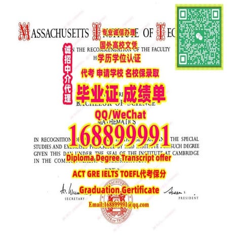 MIT毕业证 | PDF