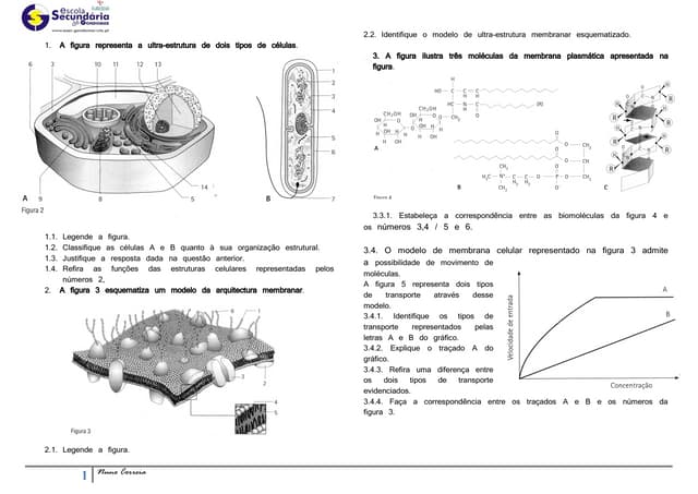 Ficha de Trabalho 2