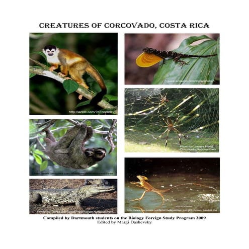 CorcovadoNaturalHistory