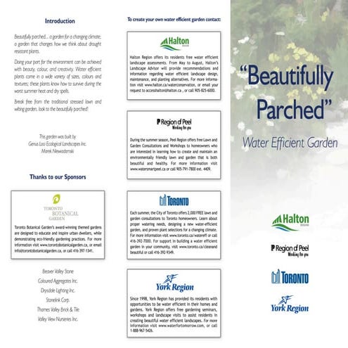 Beautifully Parched Water Efficient Garden