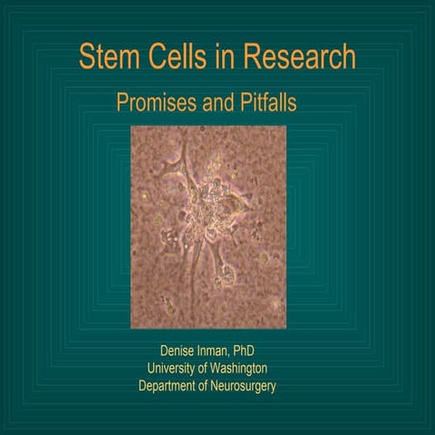 Inman_Stem_Cells_05