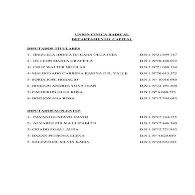 Union Civica Radical 2013