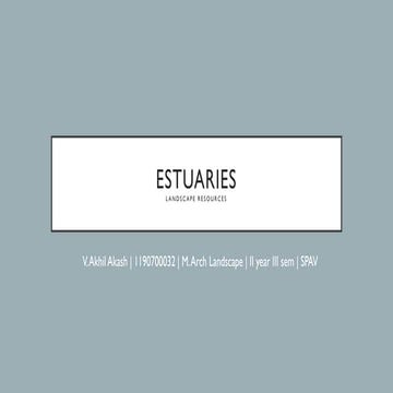 Estuaries