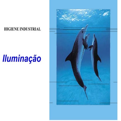1192126273 iluminacao
