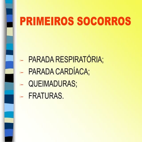 1196259117 primeiros socorros