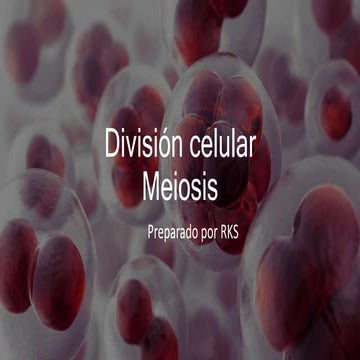 11A. Meiosis. división celular .pptx