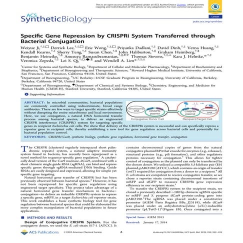 iGEM Paper (more pretty)