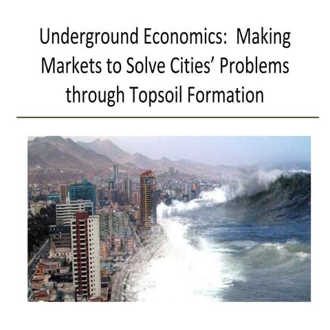 Underground Economics - Making Markets to Solve Cities' Problems through Soil Formation