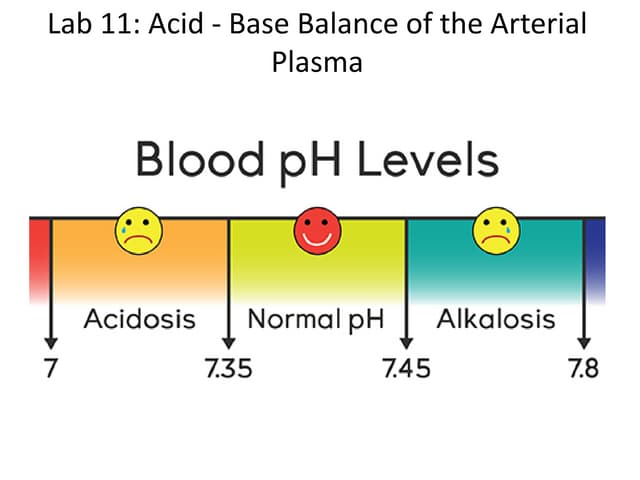 Blood PH Balance PPT shock-position-what-is-it-uses-and-more