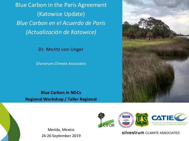 thumbnail of  Blue Carbon in the Paris Agreement (Katowice Update)