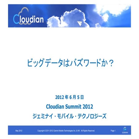 ビッグデータはバズワードか? (Cloudian Summit 2012)