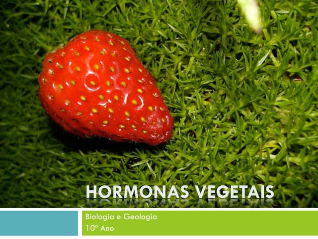 (11) biologia e geologia   10º ano ...