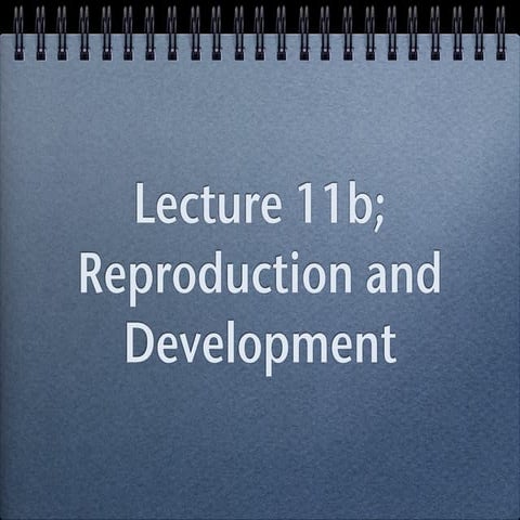 11b; reproduction