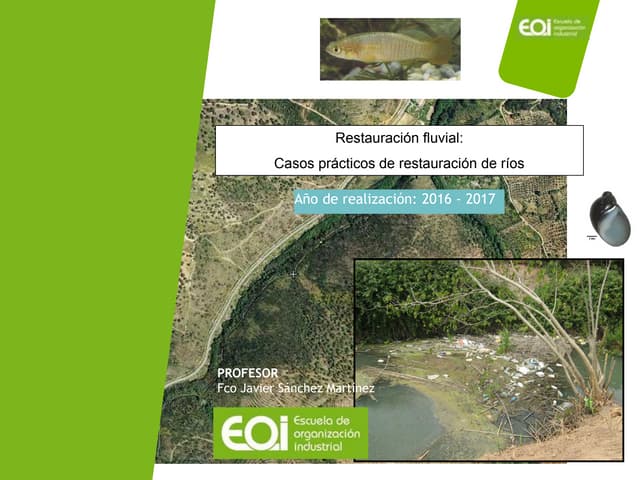 Restauración fluvial: Casos prácticos de restauración de ríos