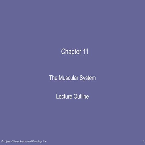 11 [chapter 11 the muscular system][11e]