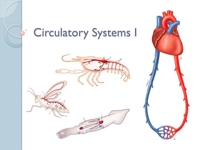Open and close circulatory systems and examples | PPTX