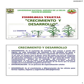 Crecimiento & Desarrollo